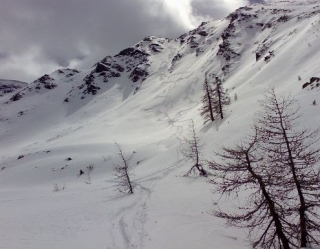  Paisaje nevado 